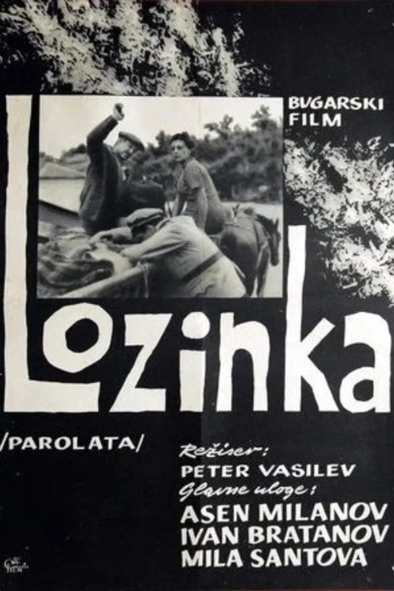 Cover of The Password