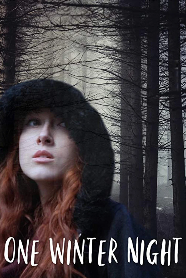 Cover of One Winter Night