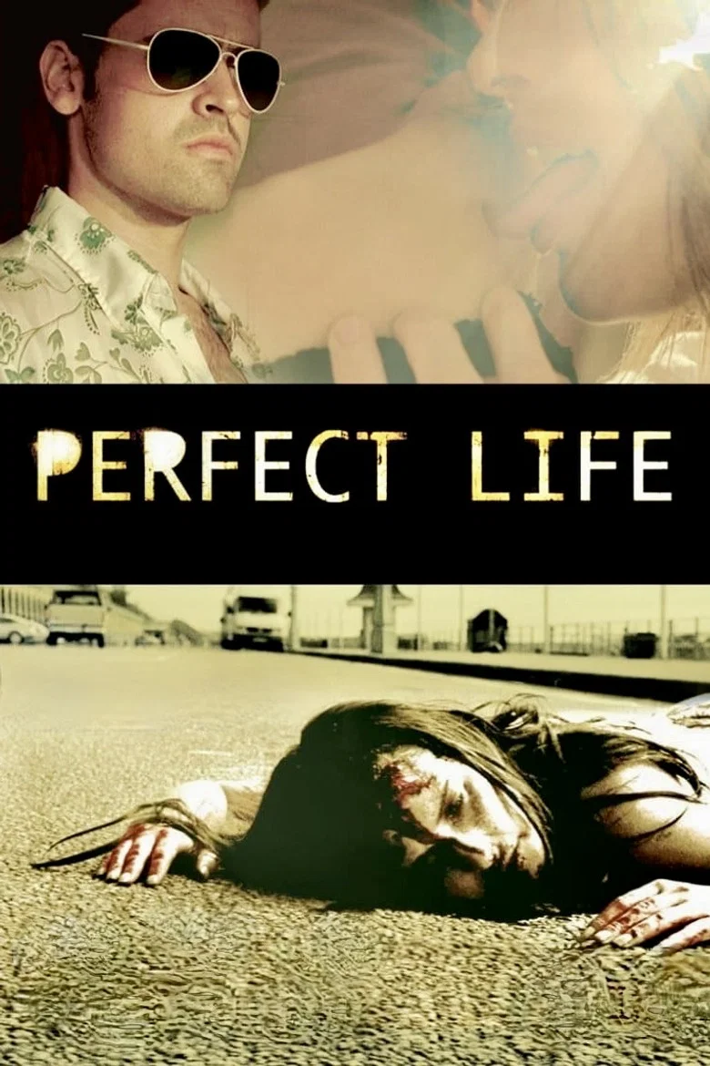 Cover of Perfect Life