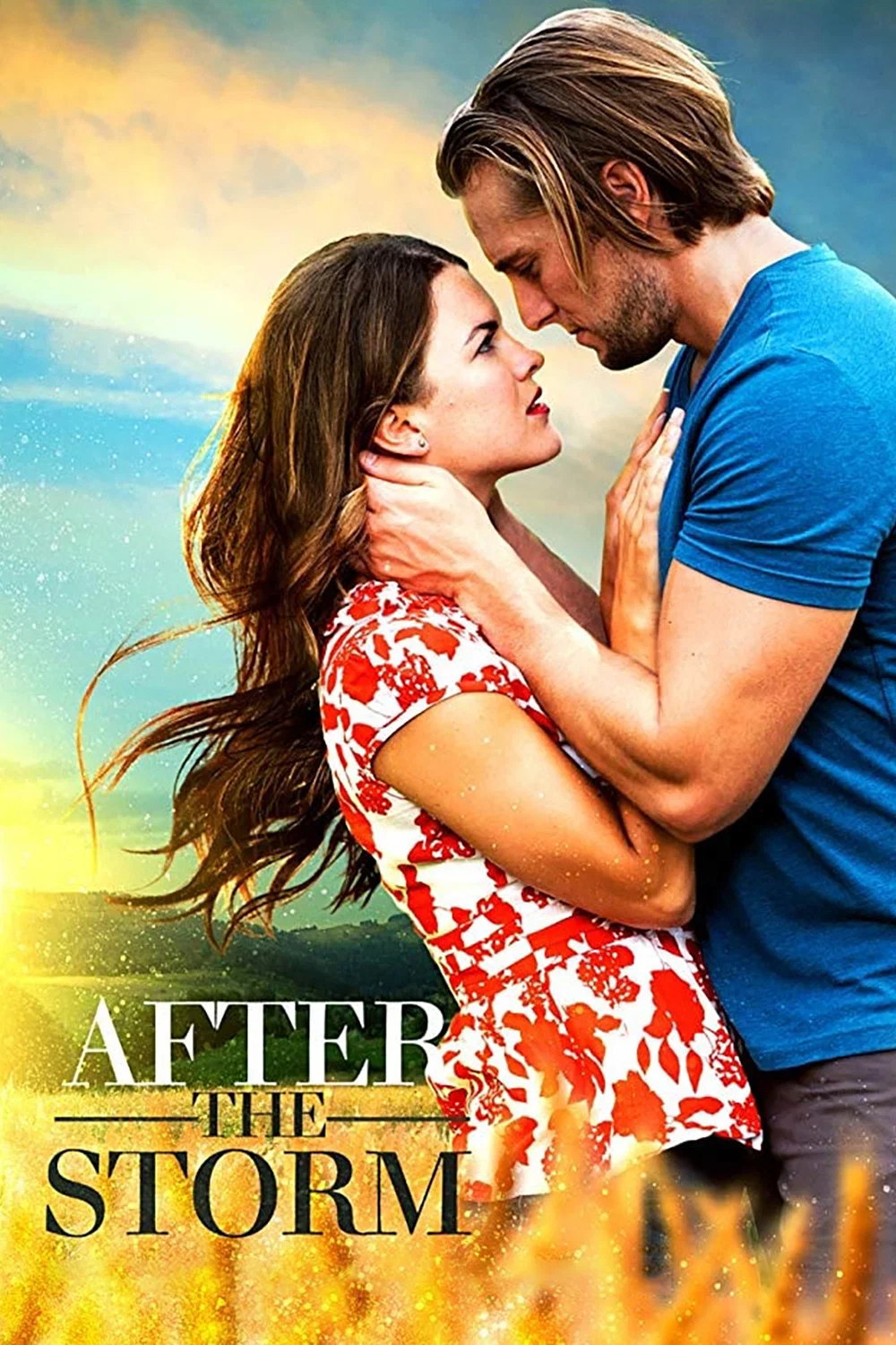 Cover of After the Storm