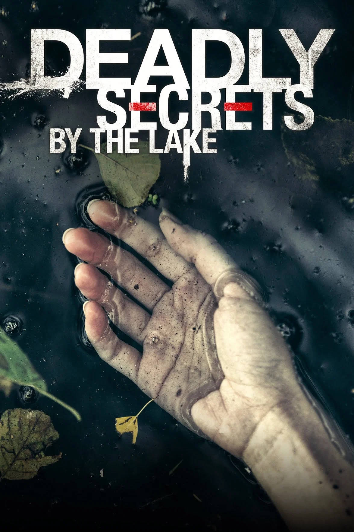 Cover of Deadly Secrets by the Lake