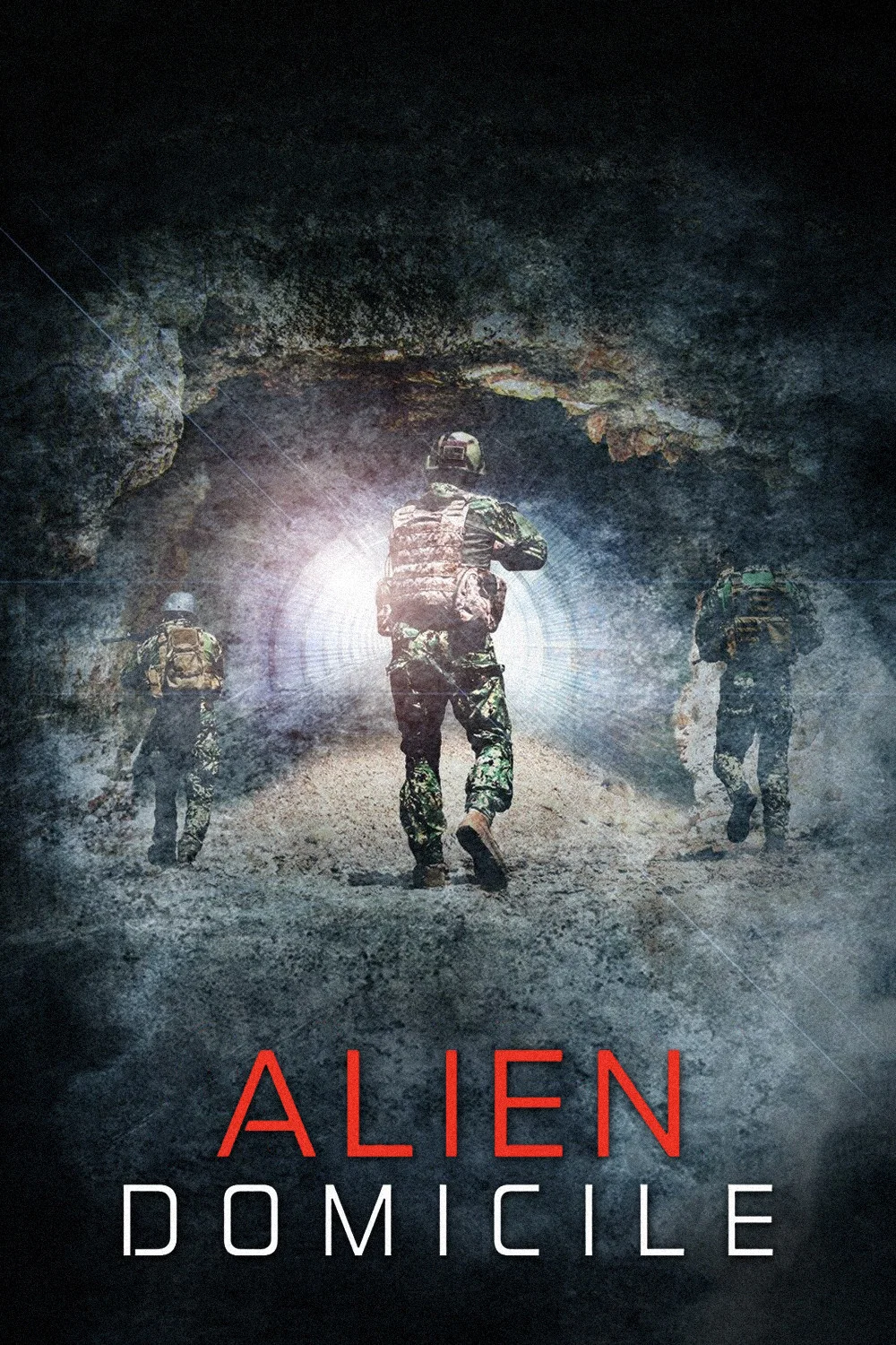 Cover of Alien Domicile