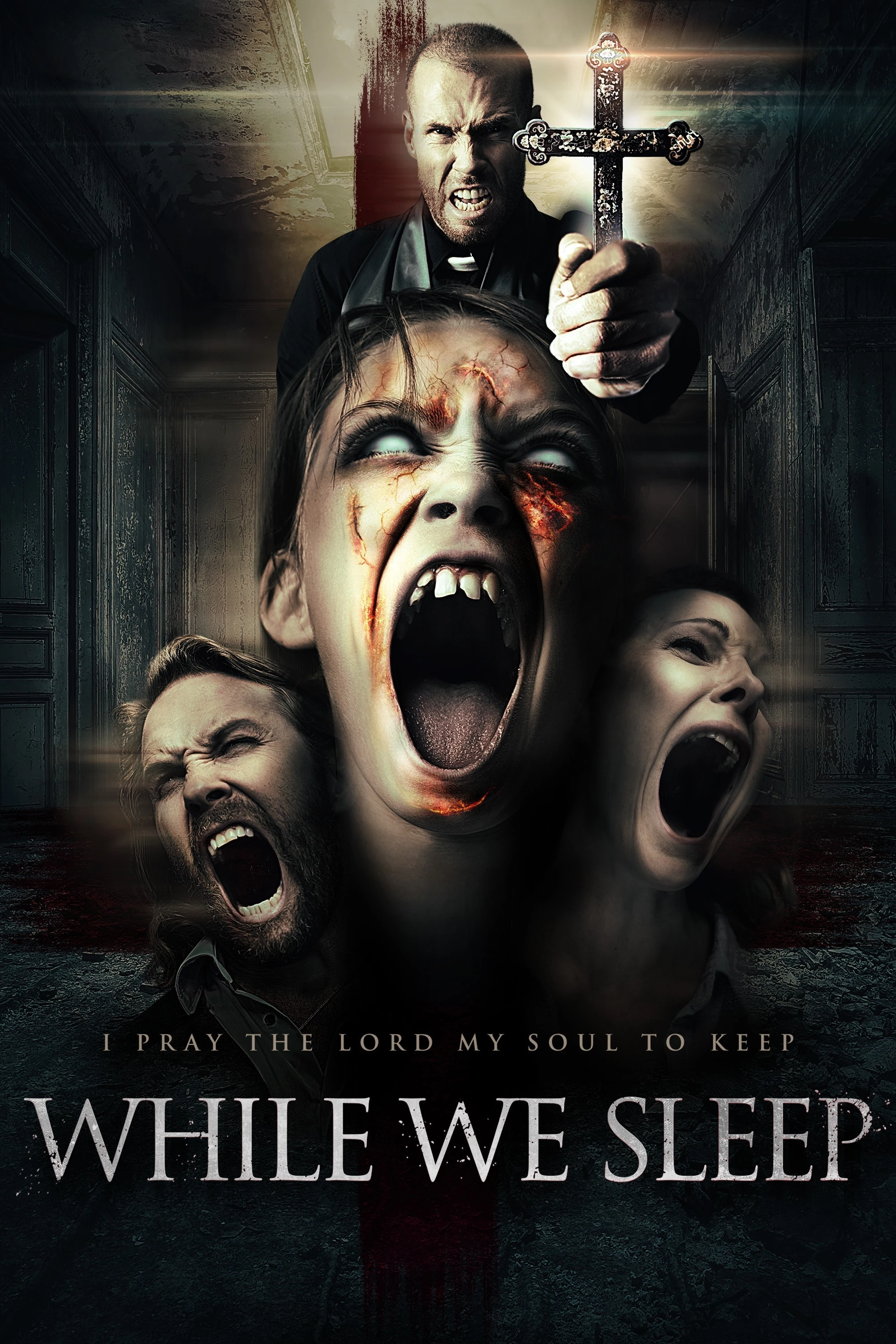 Cover of While We Sleep