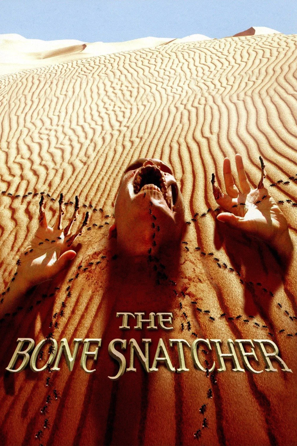 Cover of The Bone Snatcher