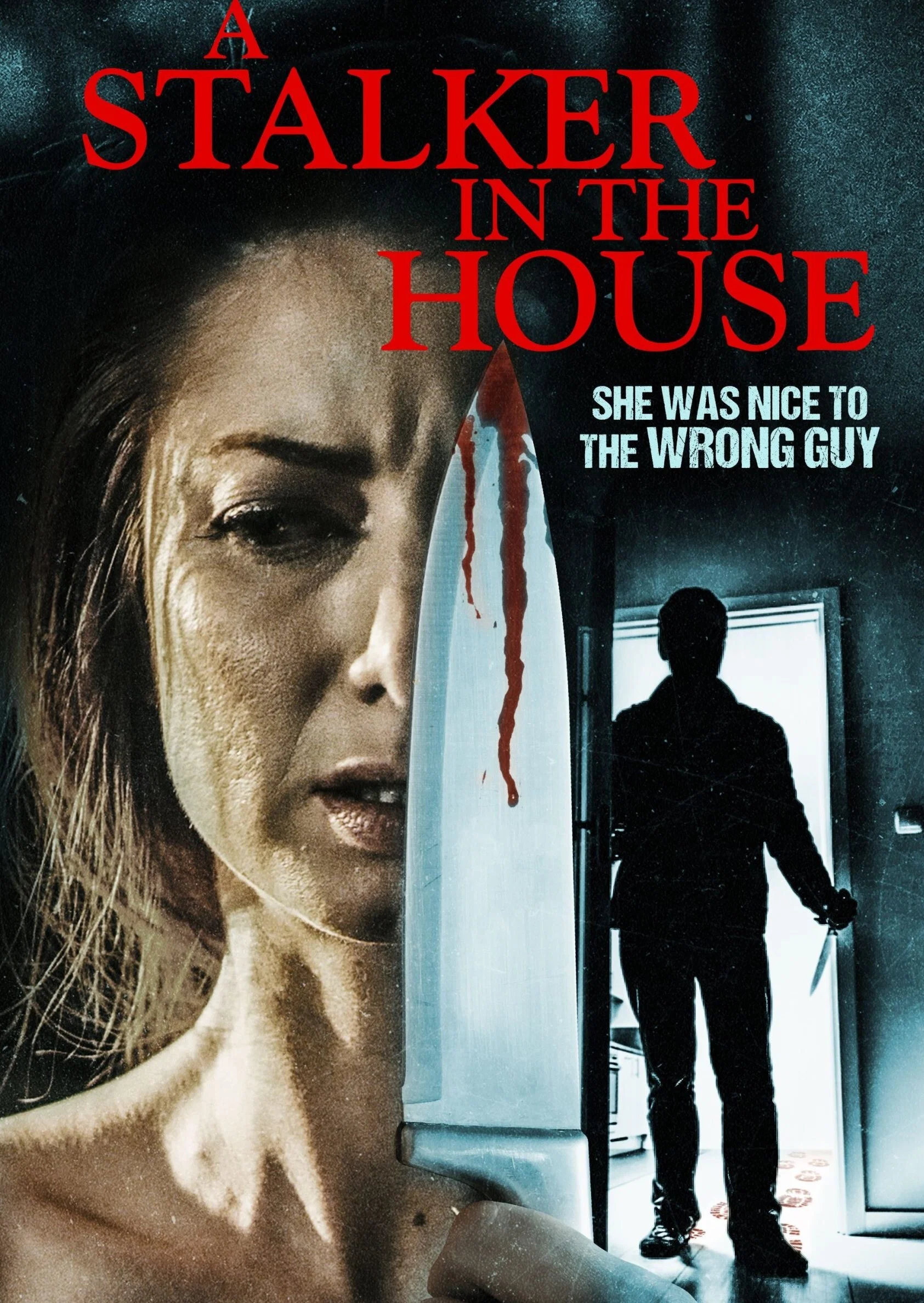 Cover of A Stalker in the House