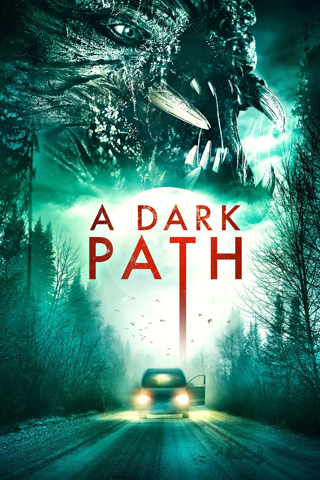 Cover of A Dark Path