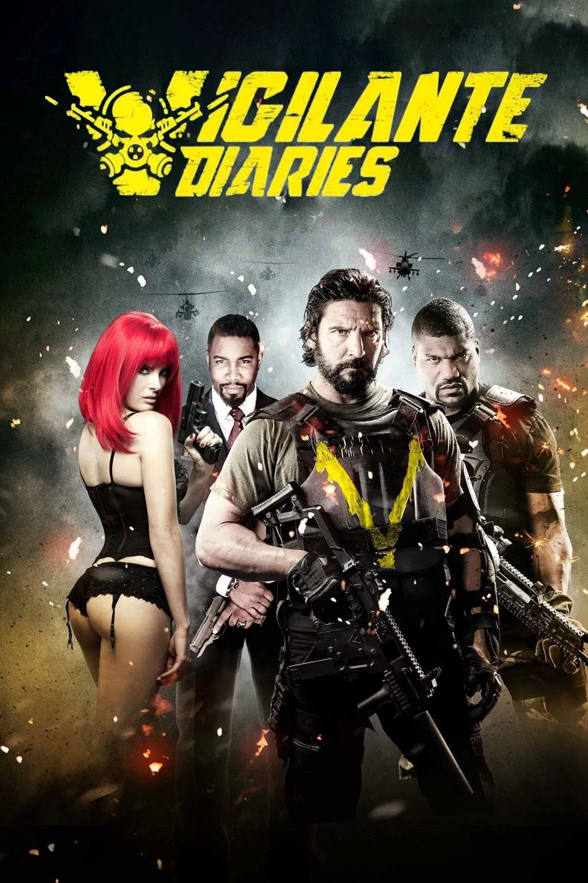 Cover of Vigilante Diaries