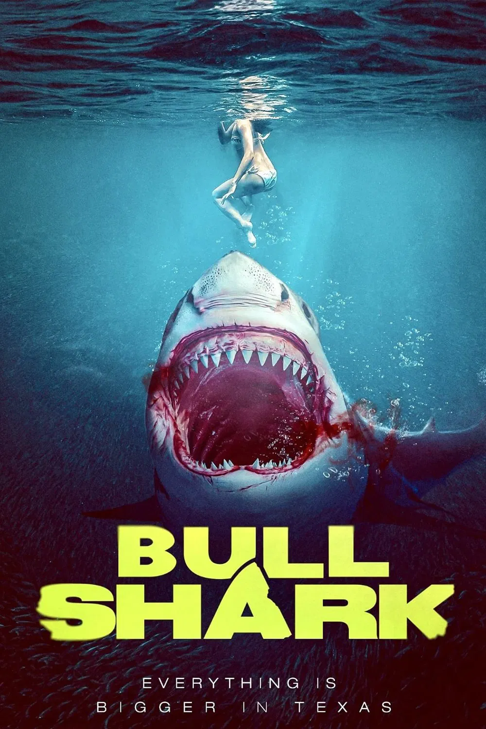 Cover of Bull Shark