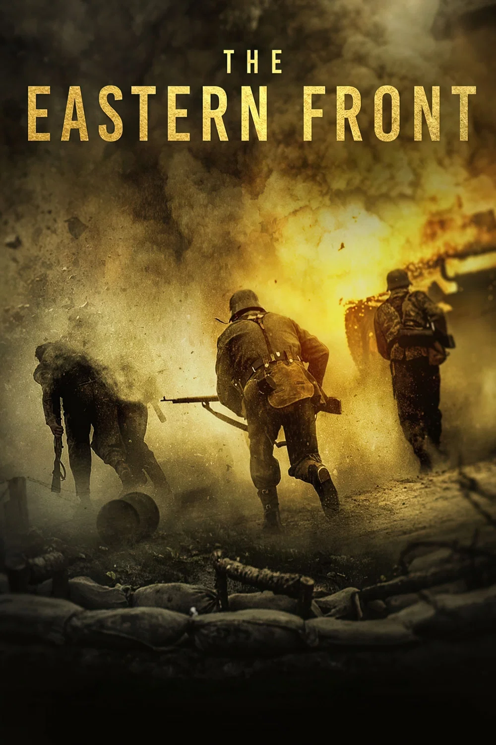 Cover of The Eastern Front