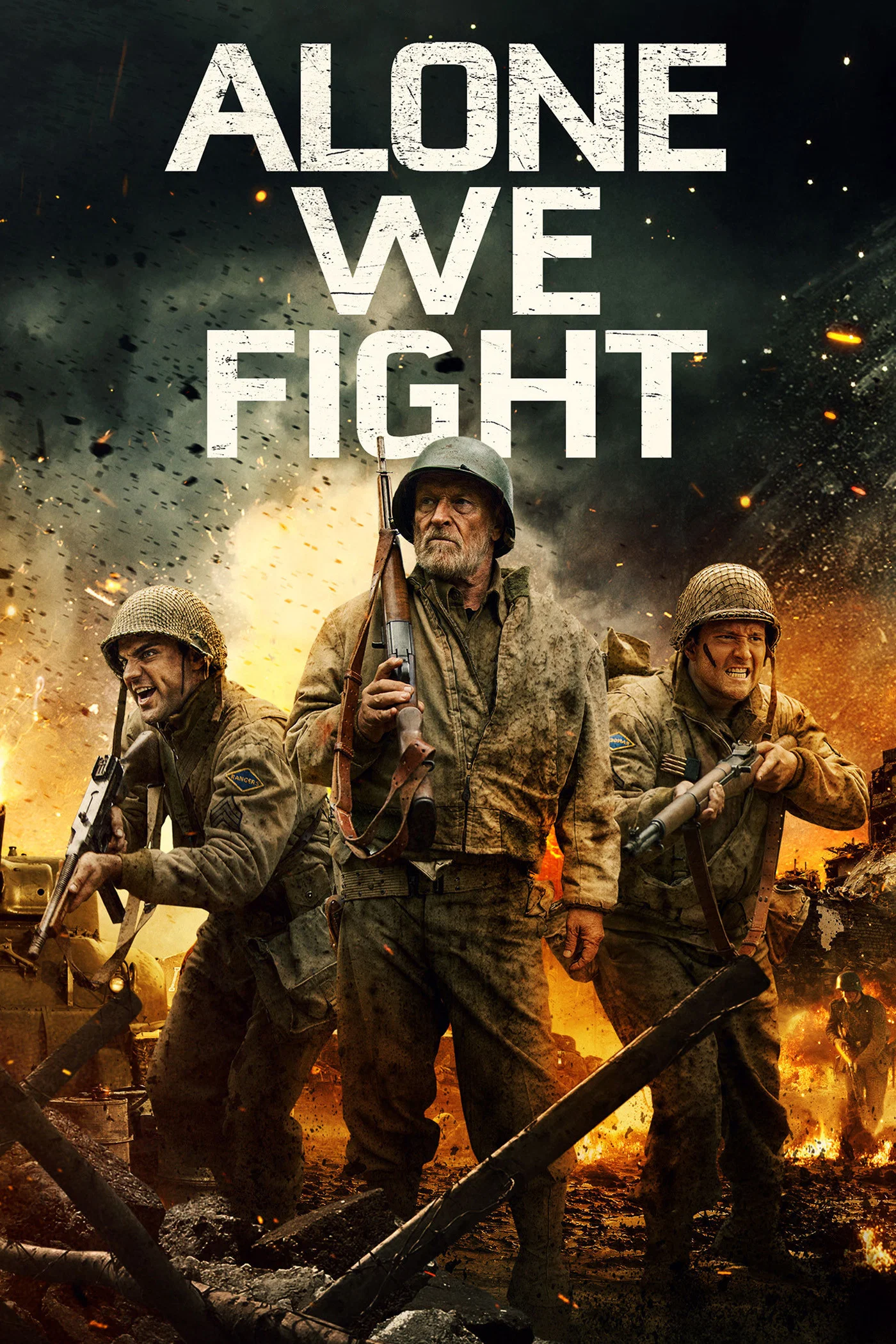 Cover of Alone We Fight