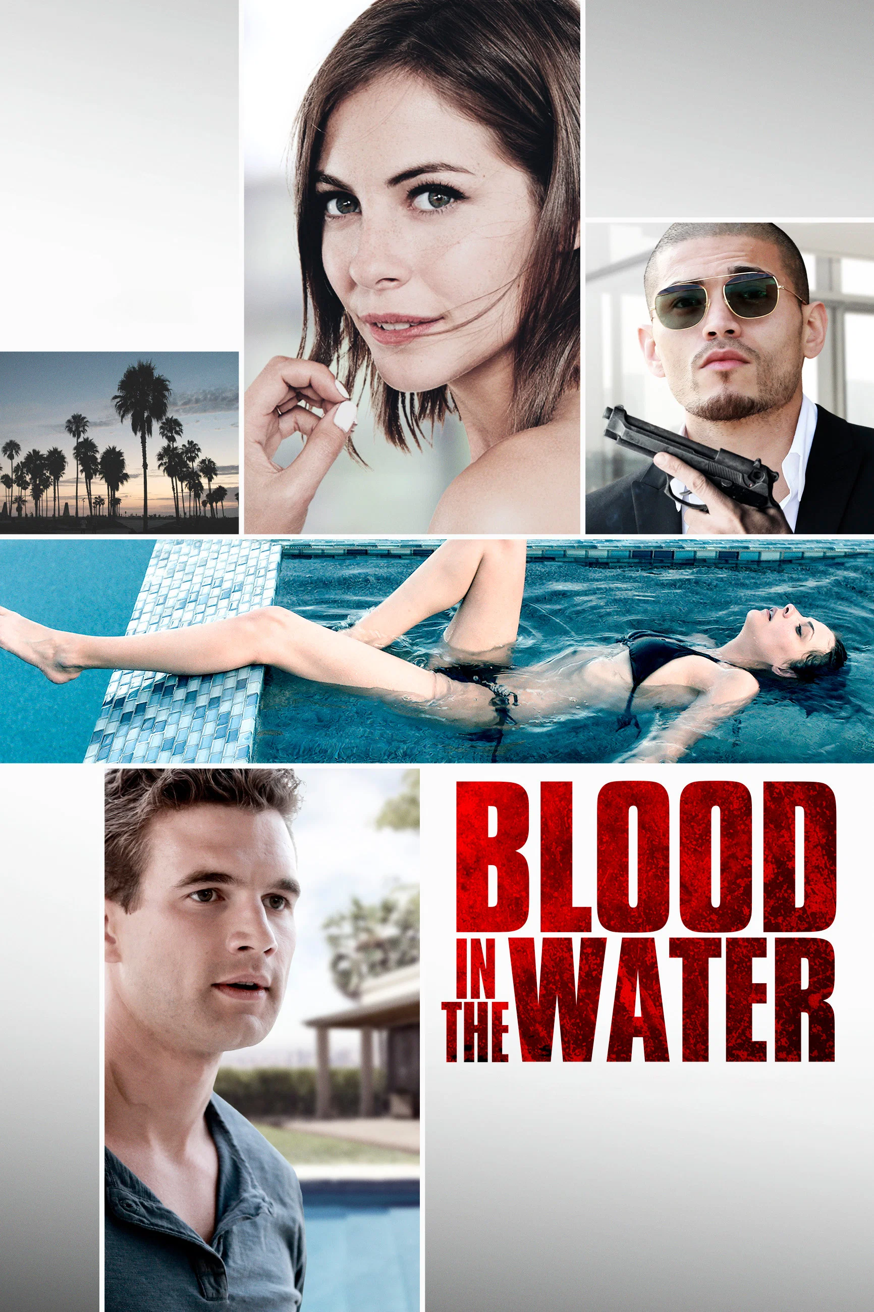 Cover of Blood in the Water