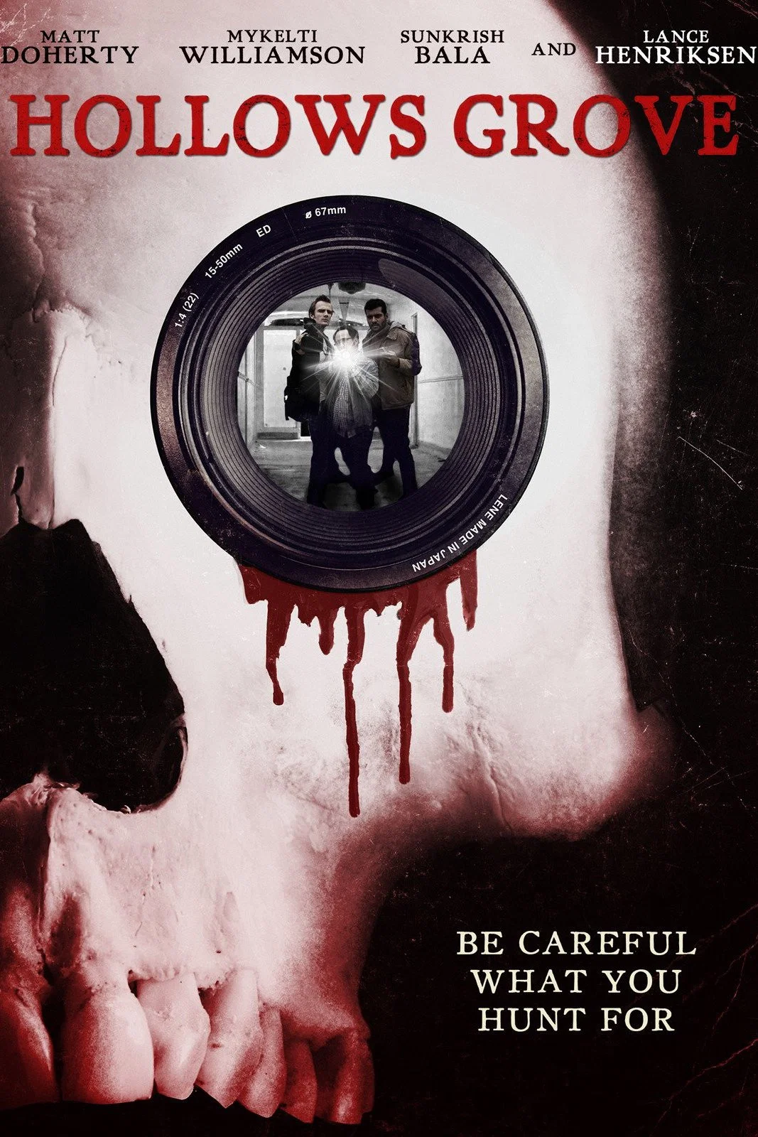 Cover of Hollows Grove