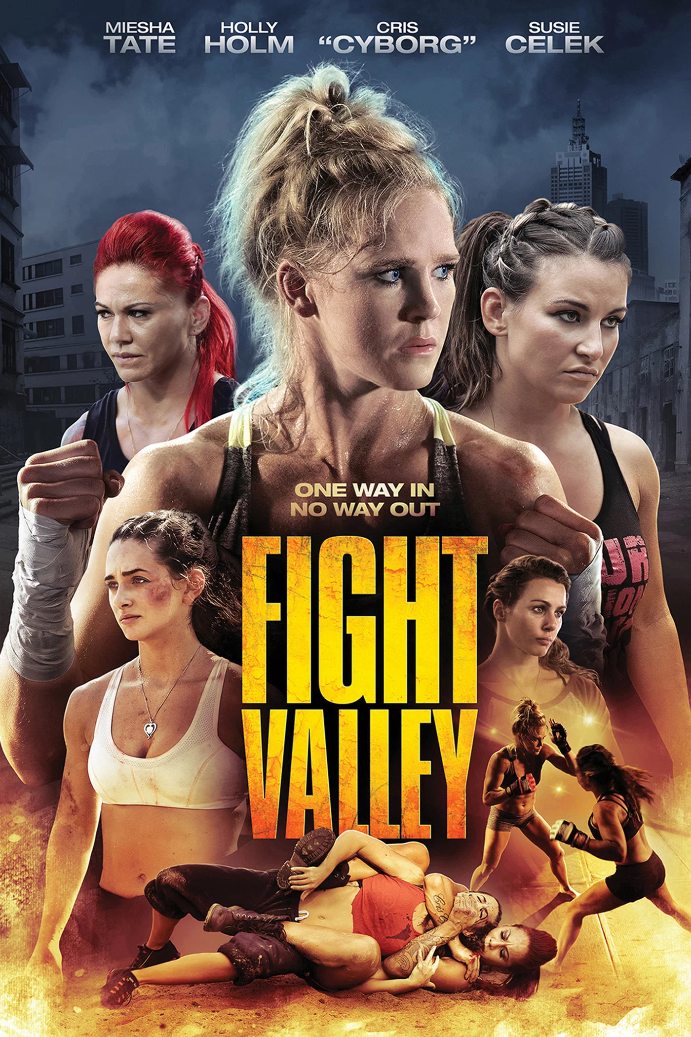 Cover of Fight Valley