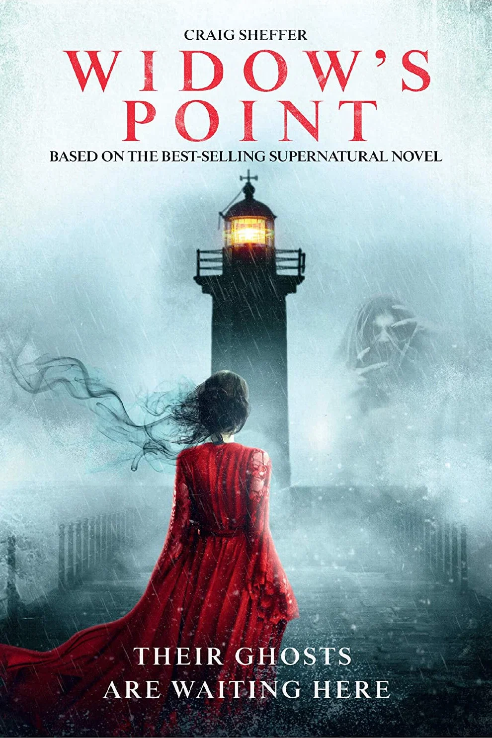 Cover of Widow's Point
