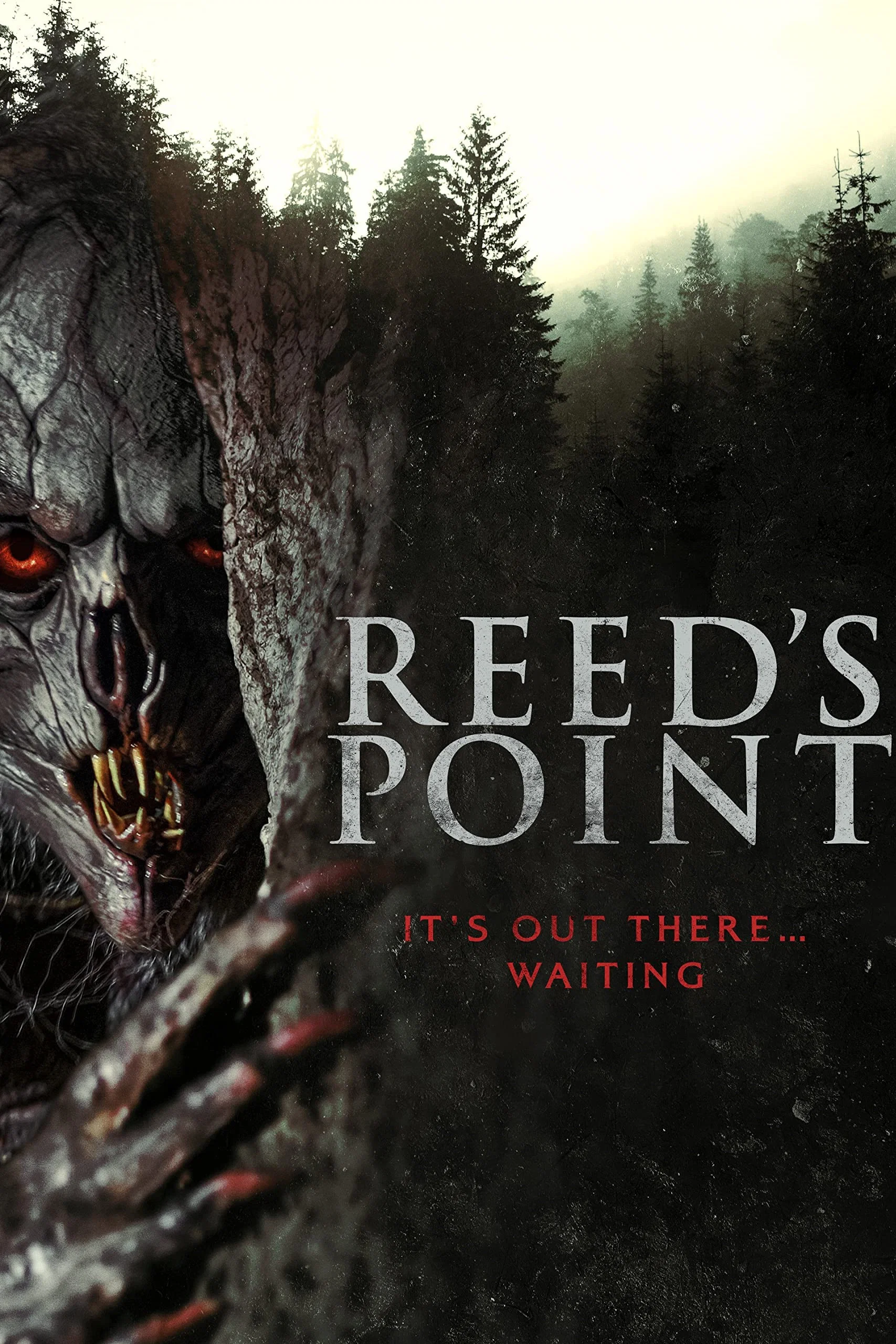 Cover of Reed's Point