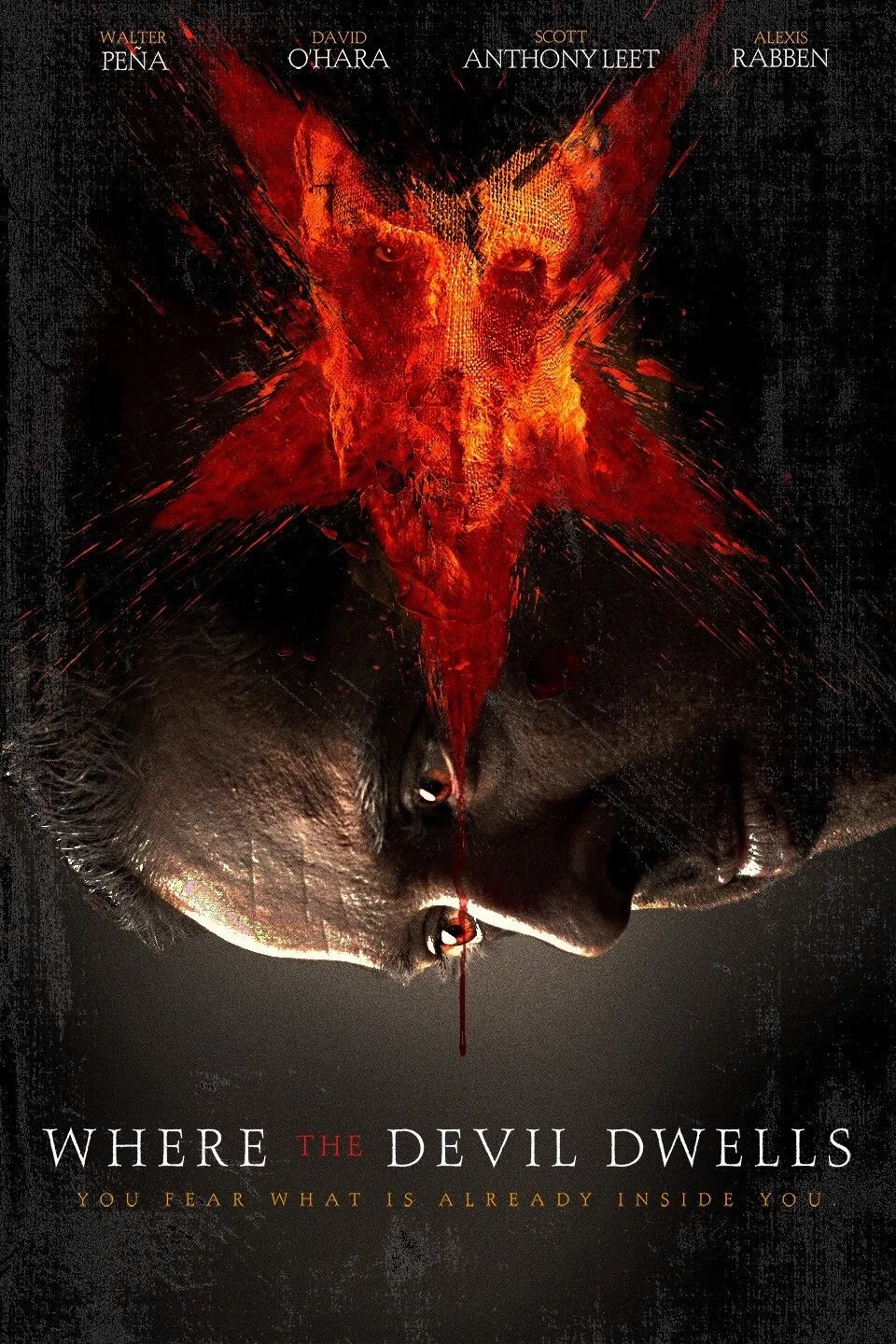 Cover of Where The Devil Dwells