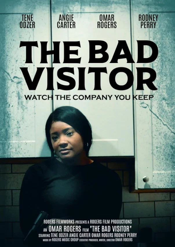 Cover of The Bad Visitor