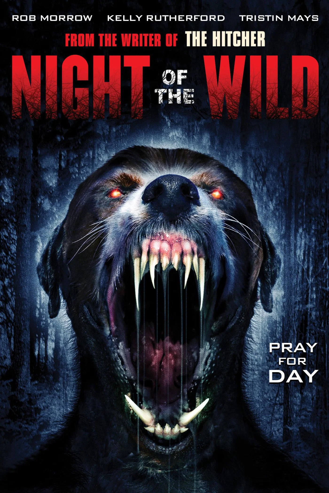 Cover of Night of the Wild