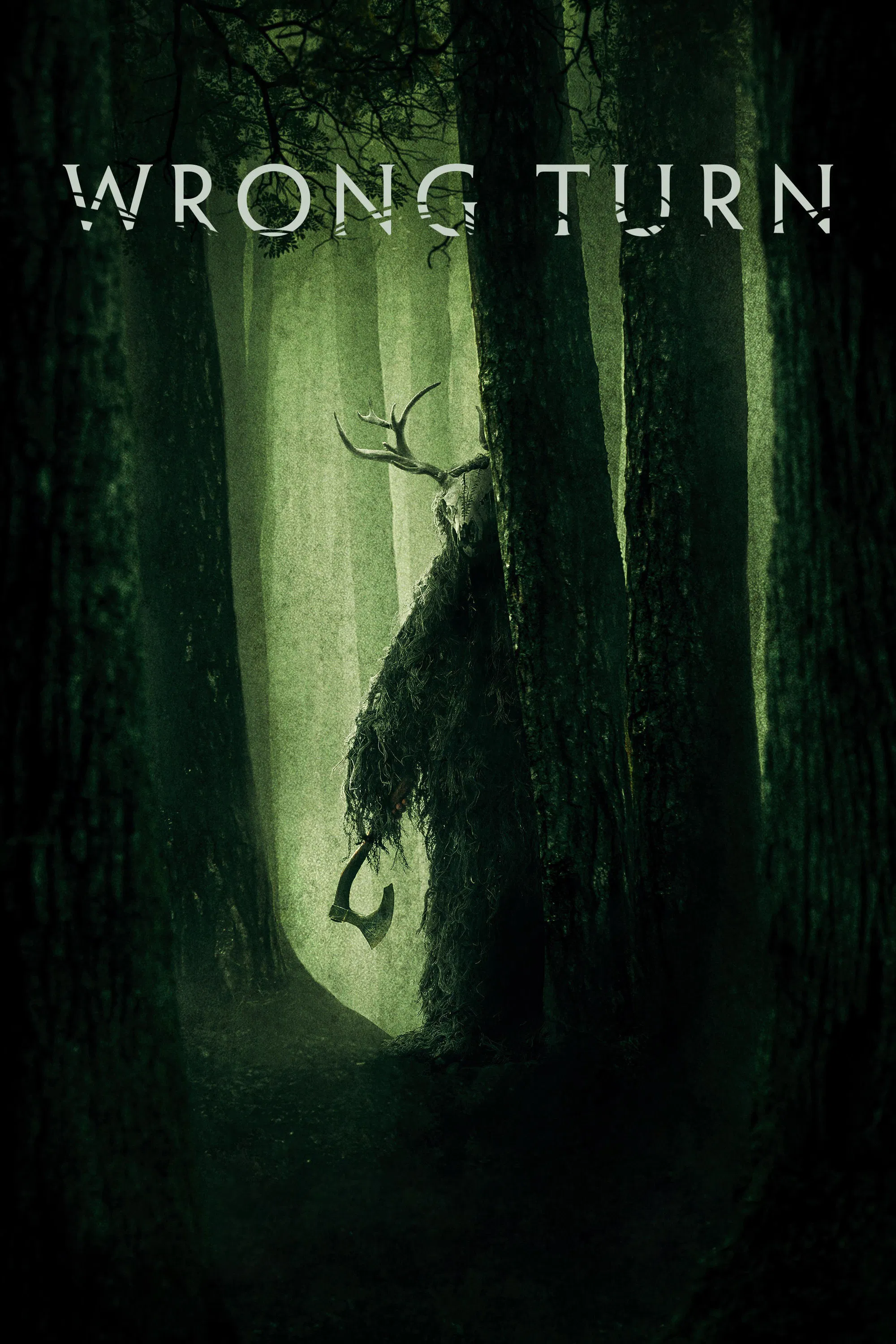 Cover of Wrong Turn
