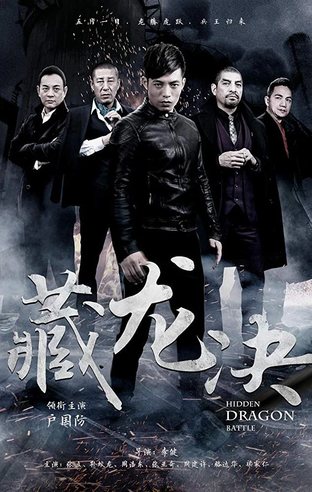 Cover of Hidden Dragon Battle