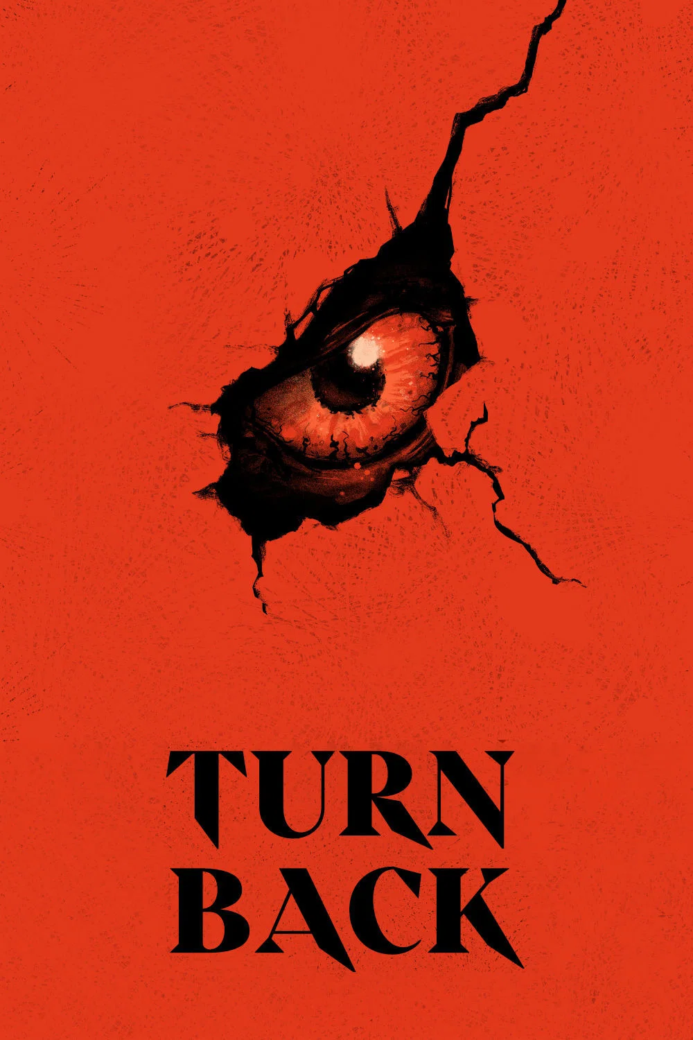 Cover of Turn Back