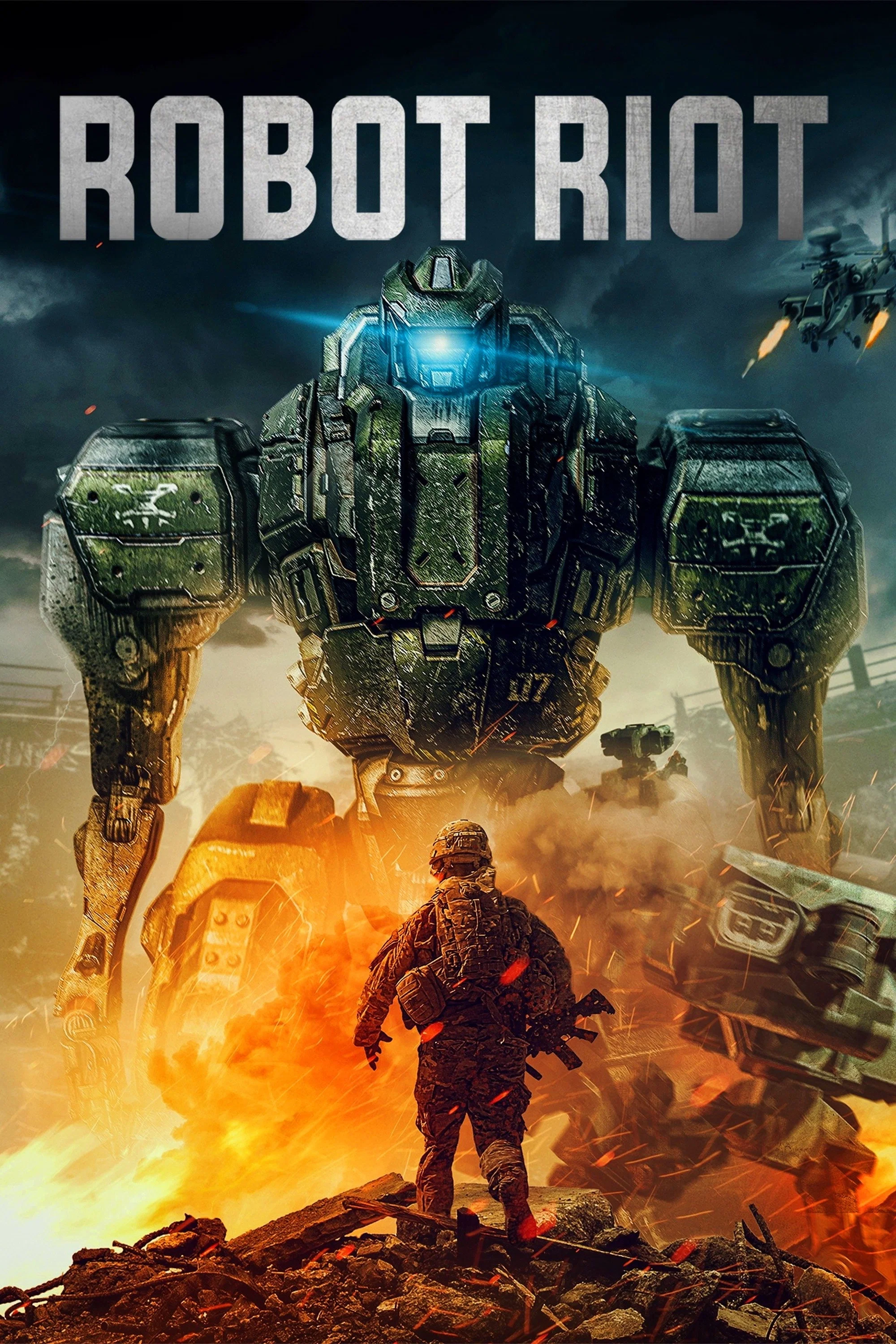 Cover of Robot Riot