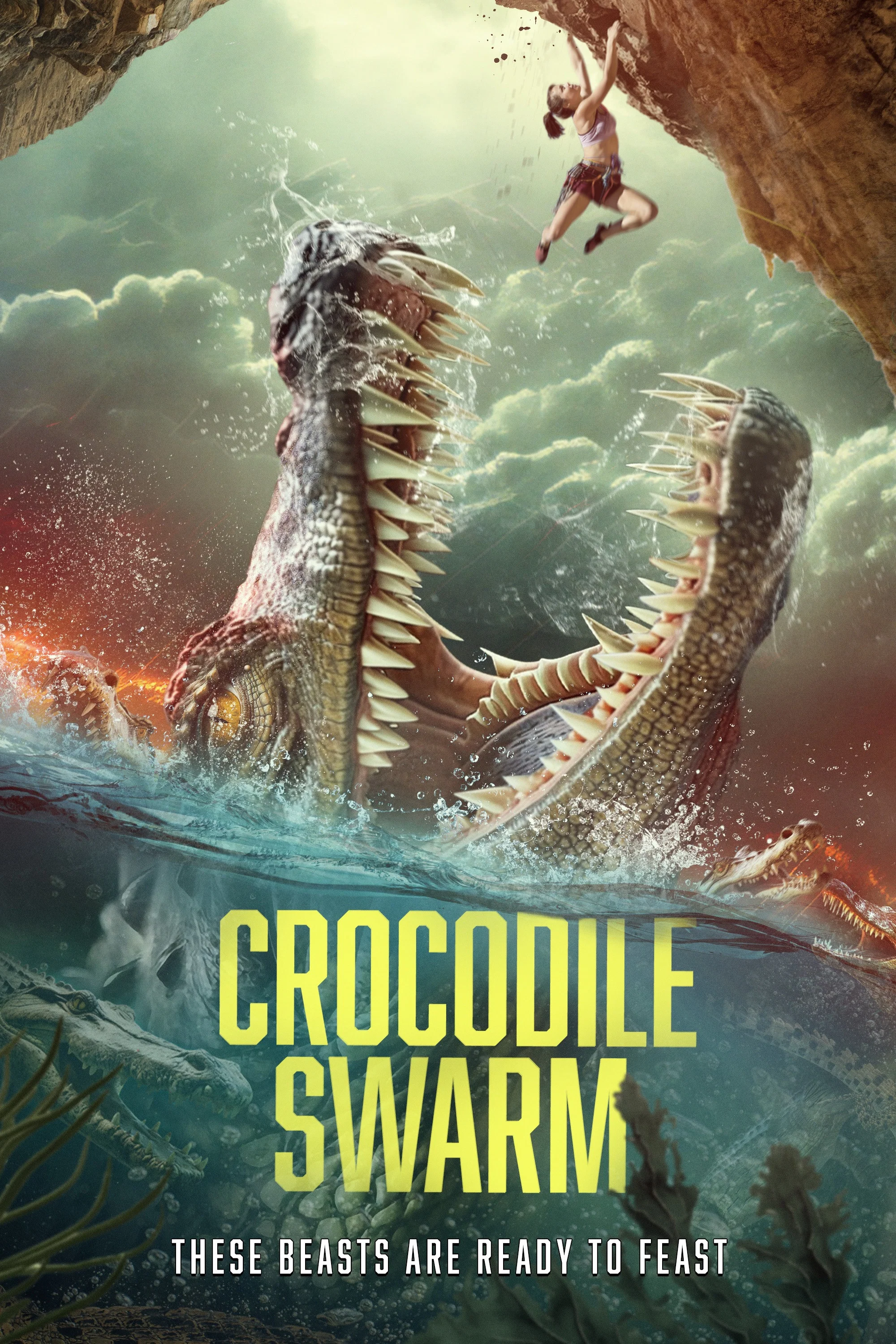 Cover of Crocodile Swarm