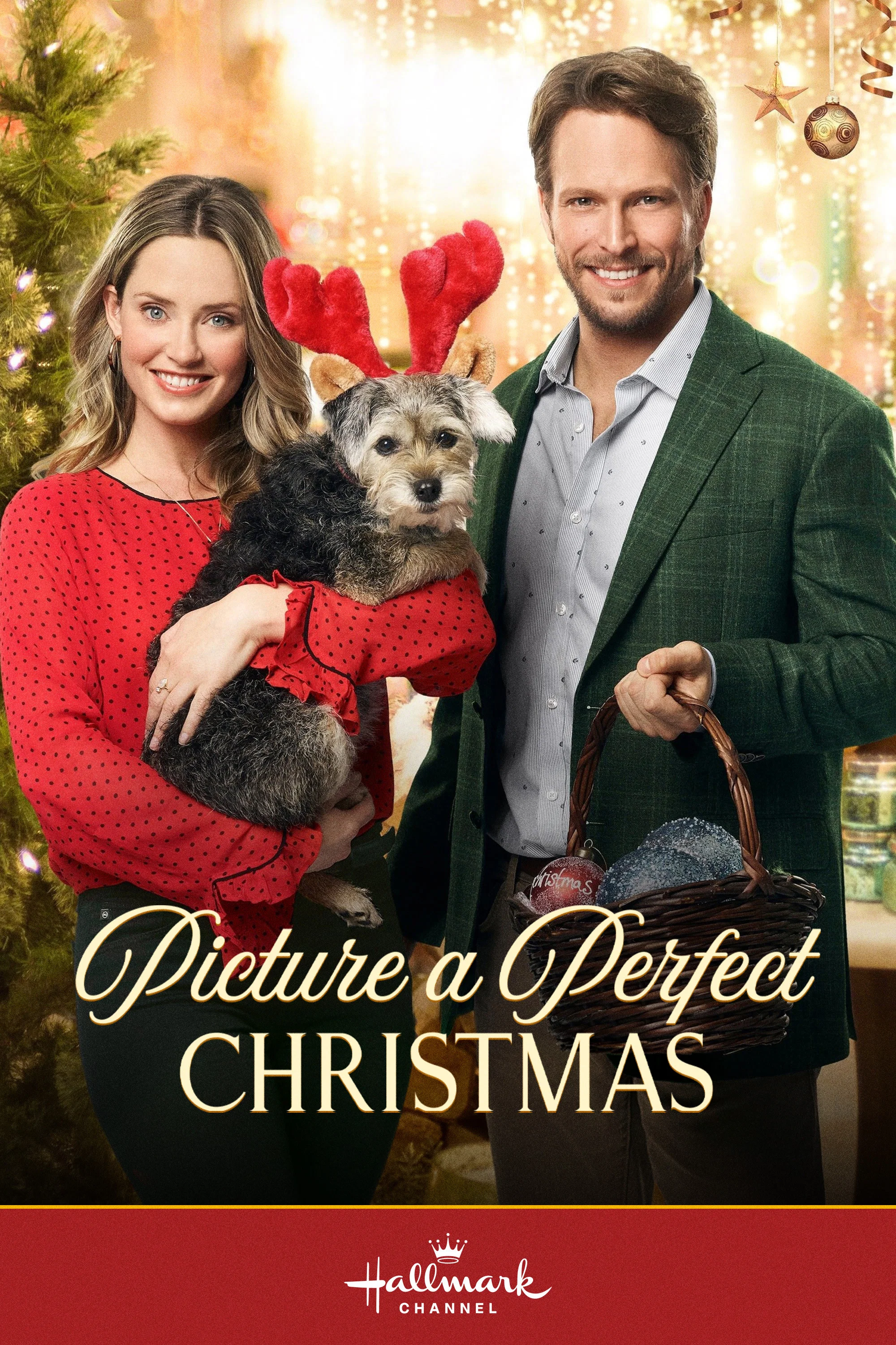 Cover of Picture a Perfect Christmas