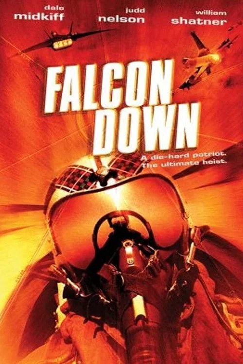 Cover of Falcon Down