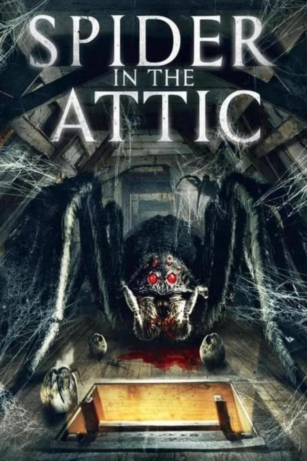 Cover of Spider in the Attic