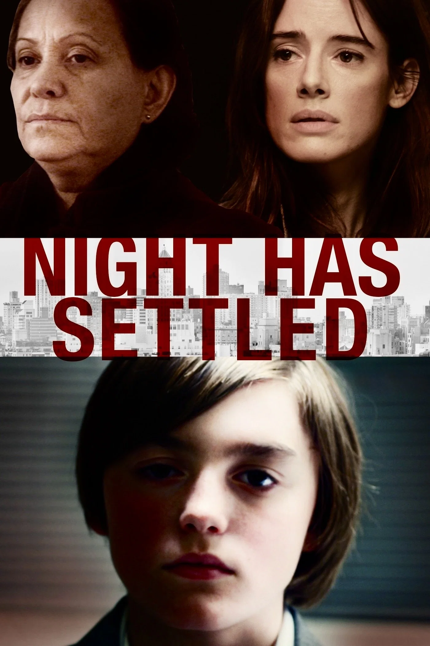 Cover of Night Has Settled