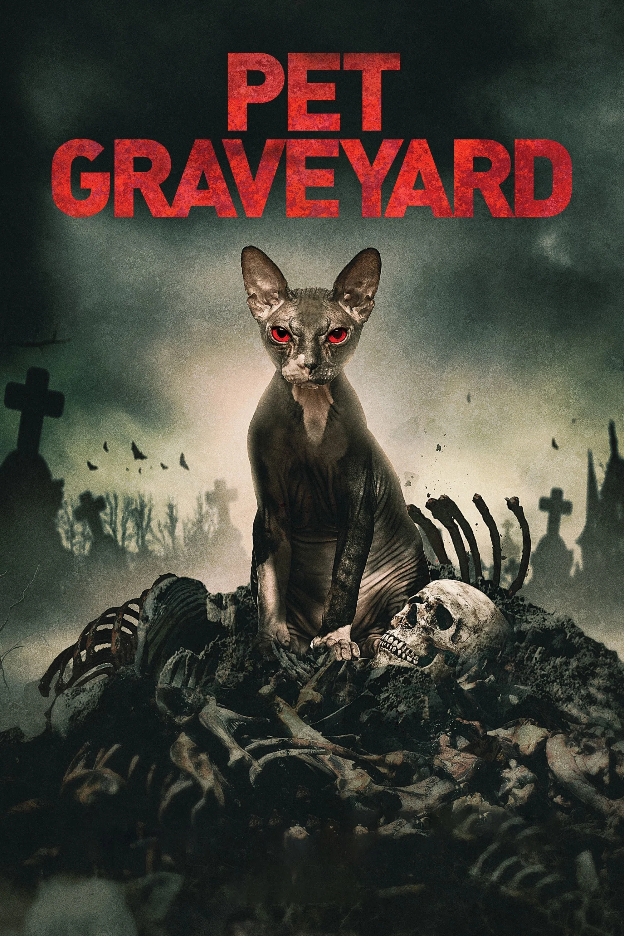 Cover of Pet Graveyard