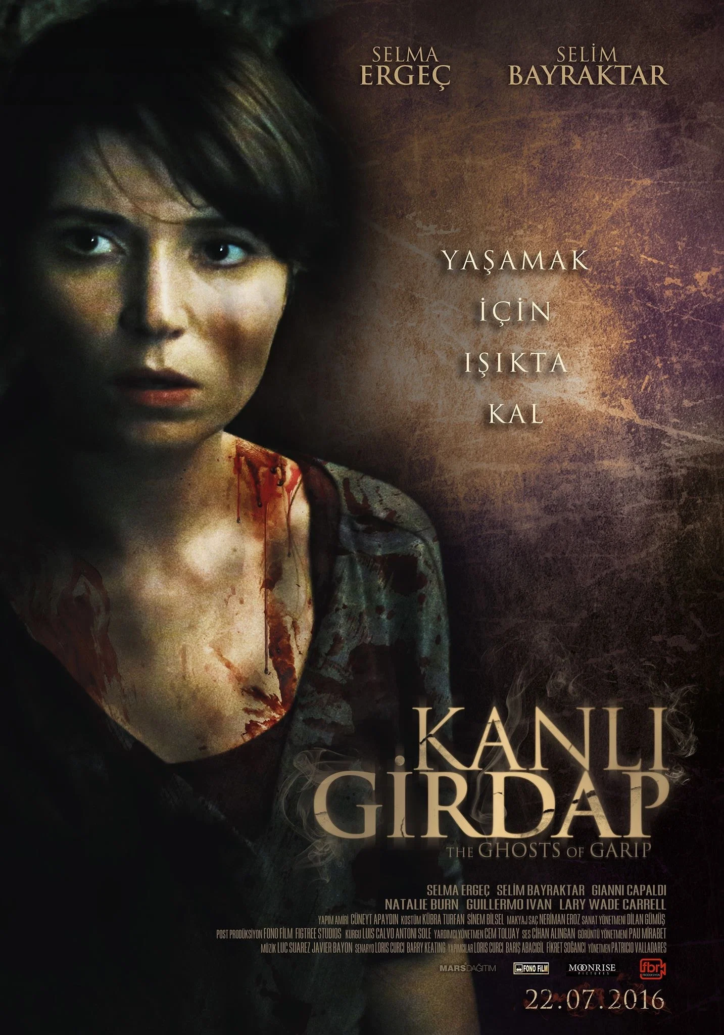 Cover of Vlad's Legacy