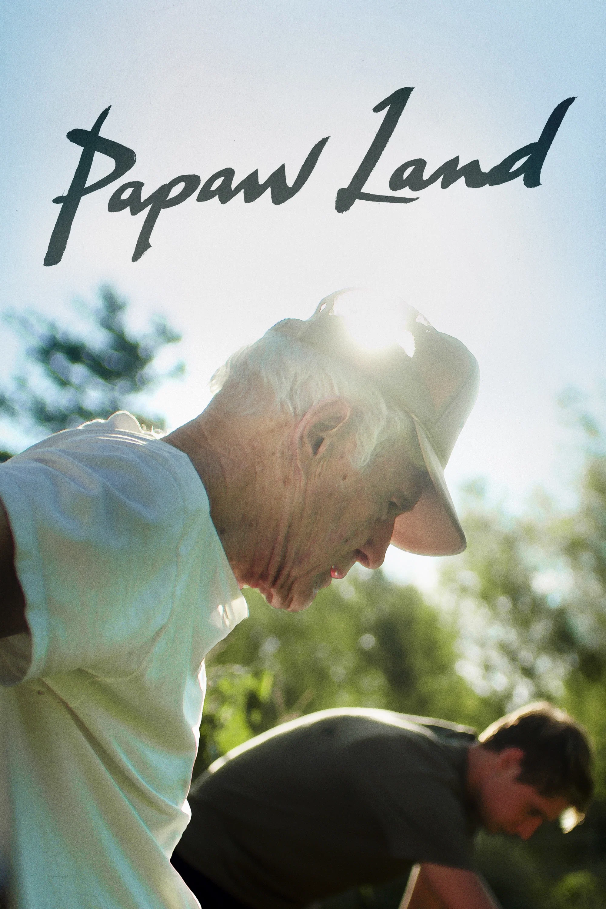 Cover of Papaw Land
