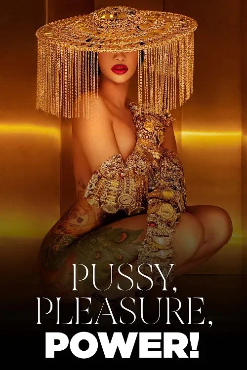 Cover of Pussy, Pleasure, Power! - Female Desire and Pop Culture