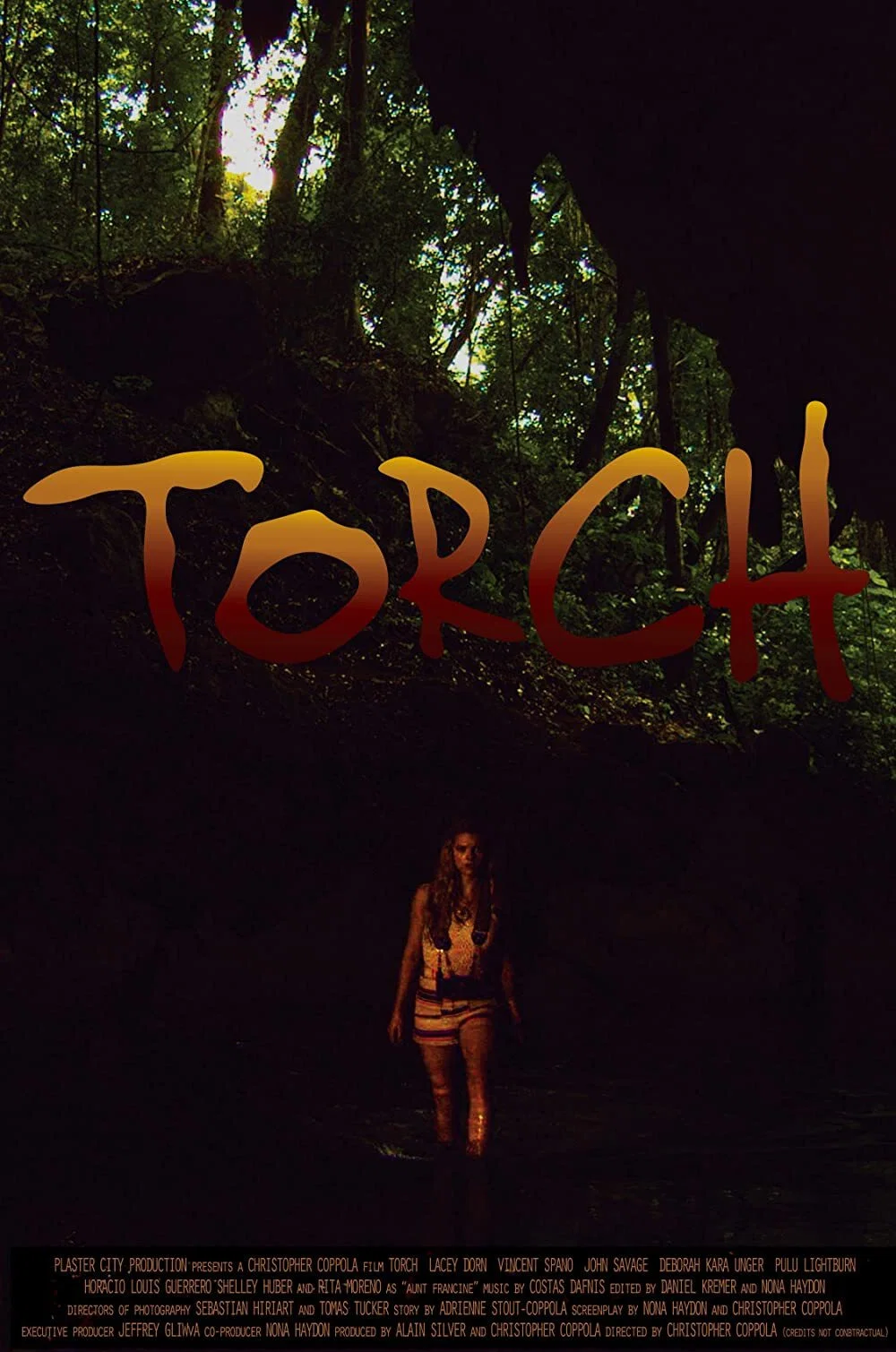 Cover of Torch