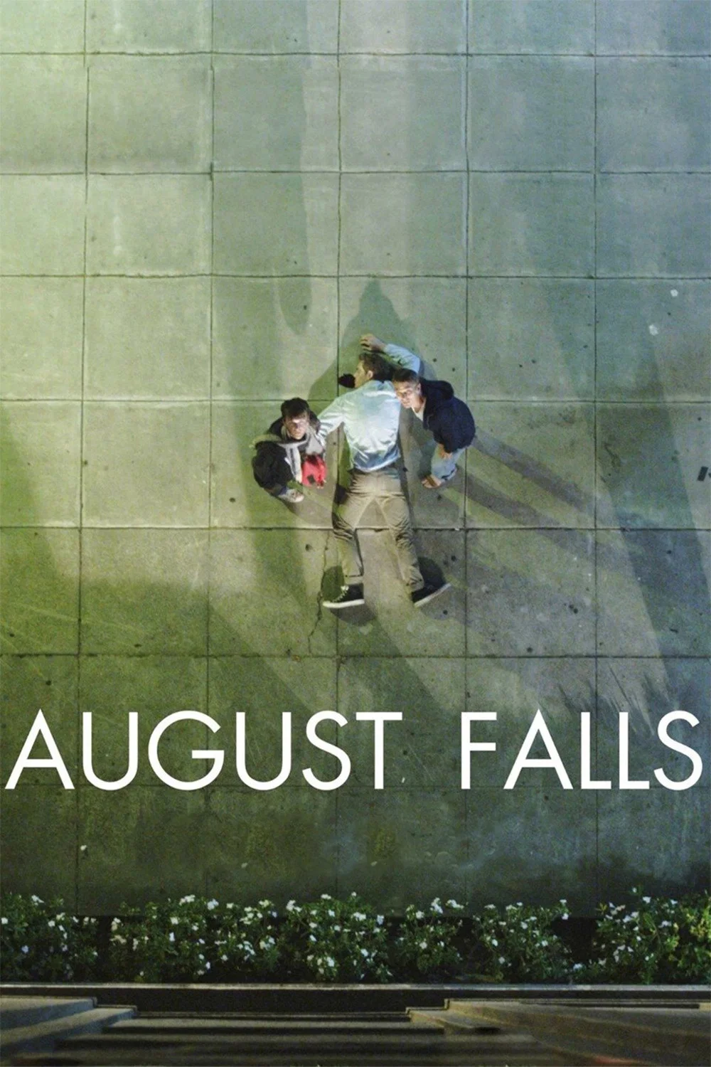 Cover of August Falls
