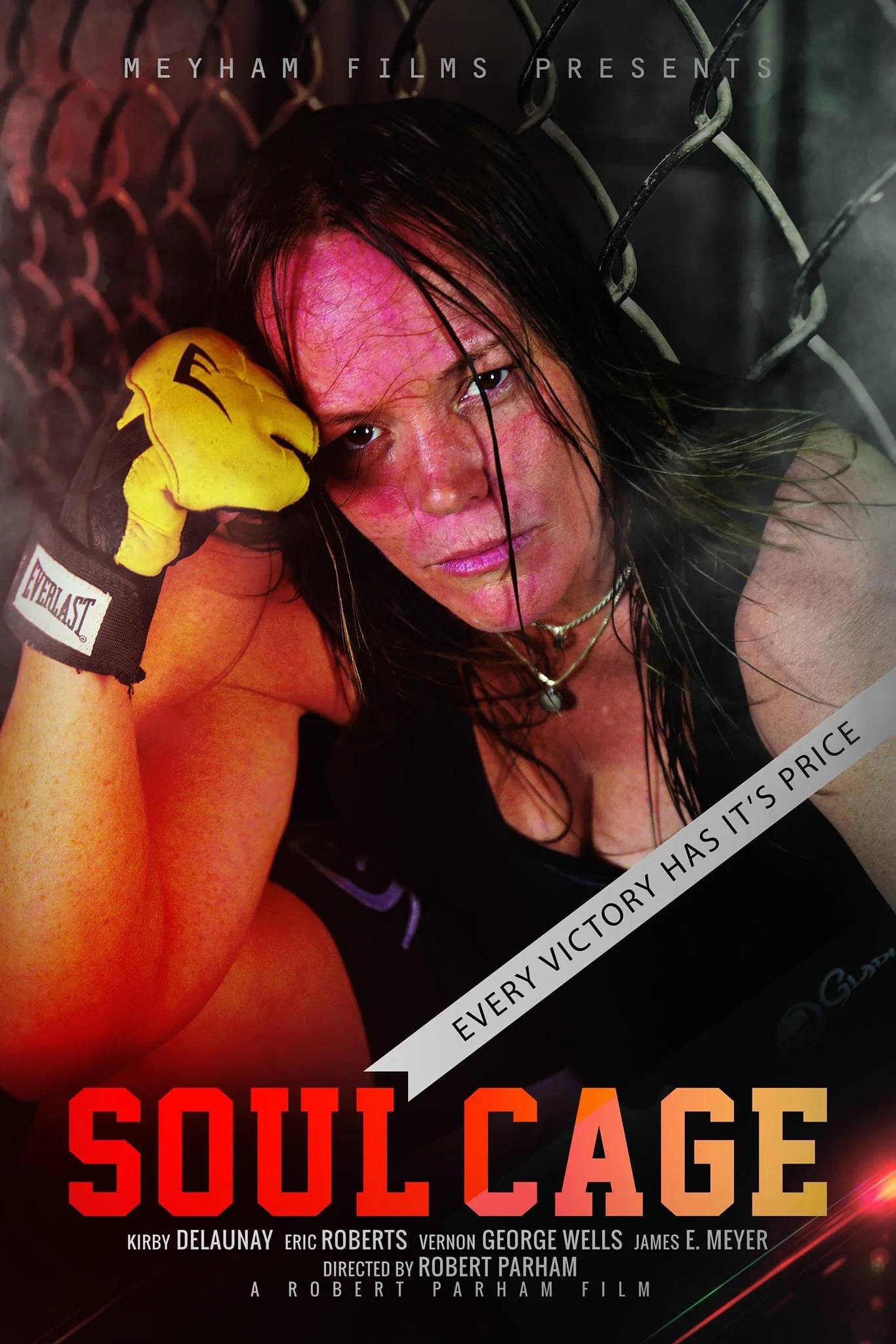 Cover of Soul Cage