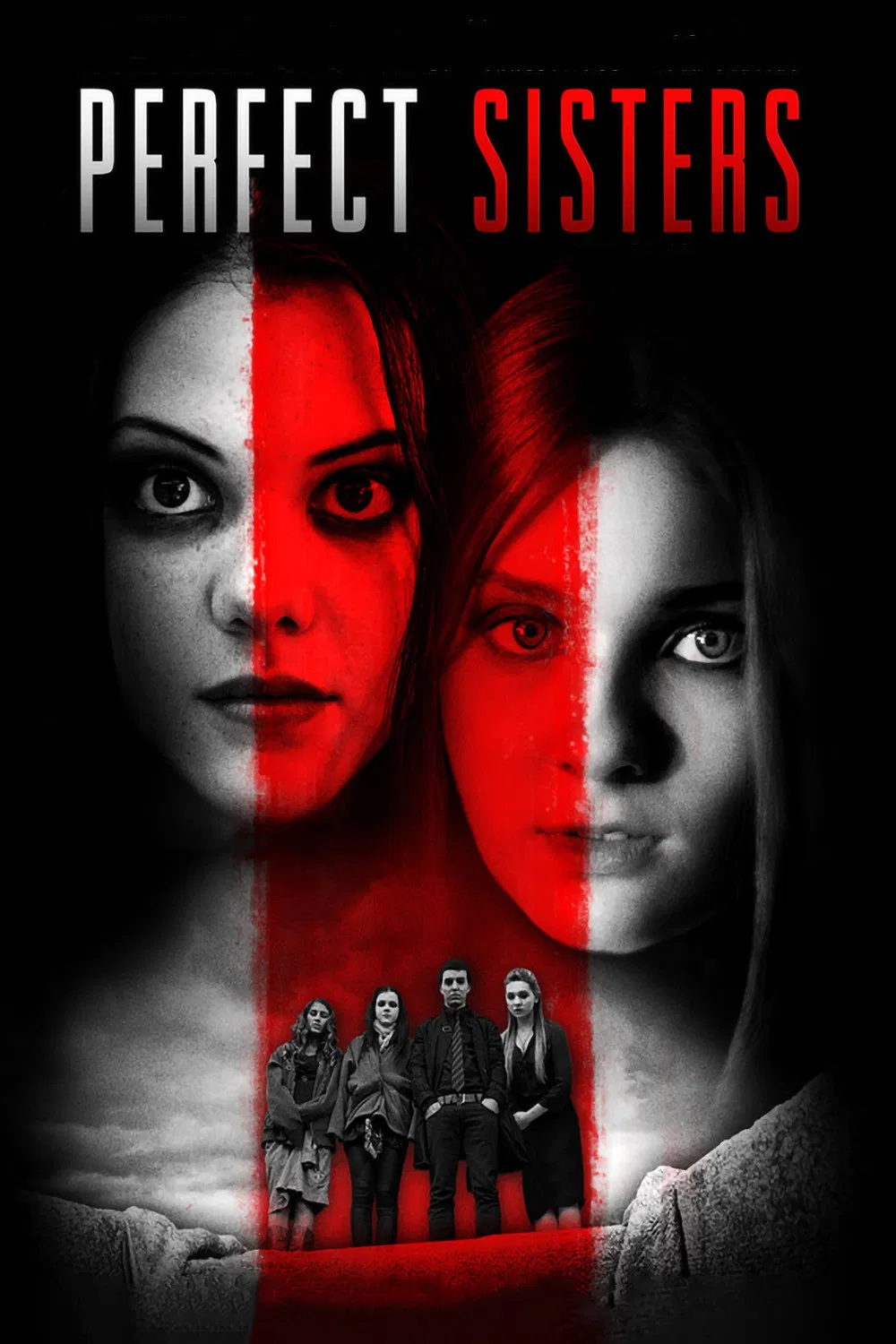 Cover of Perfect Sisters