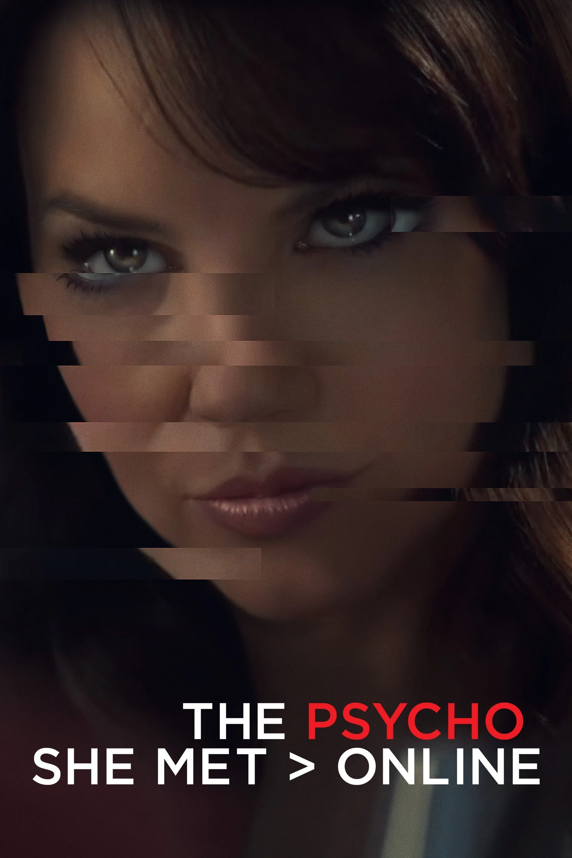 Cover of The Psycho She Met Online