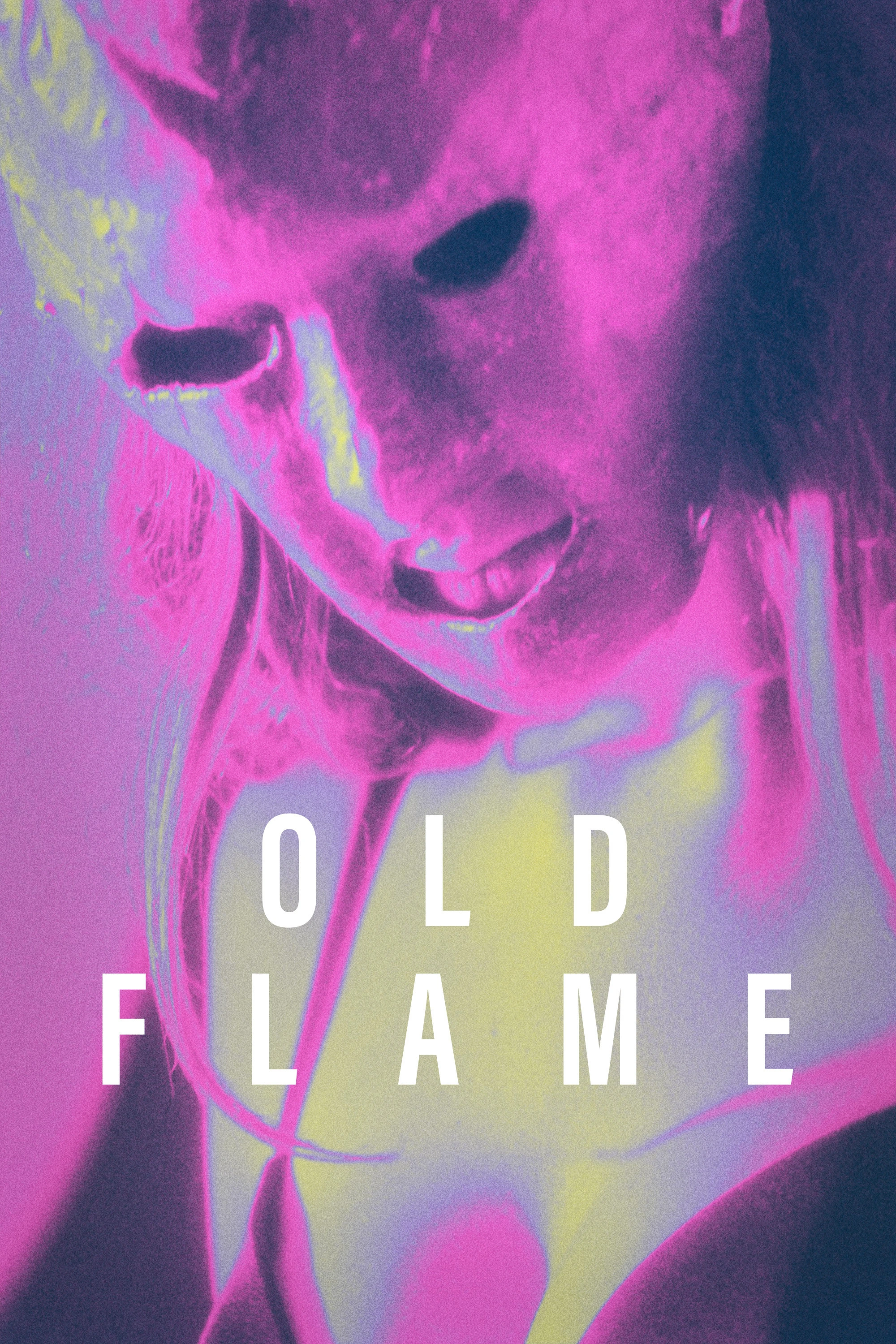Cover of Old Flame