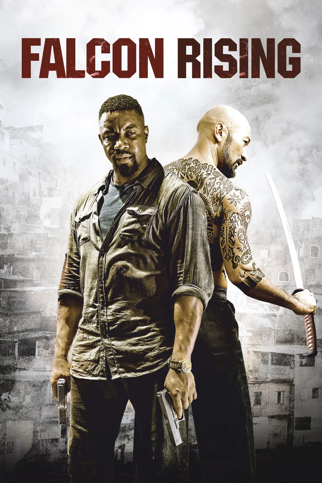 Cover of Falcon Rising
