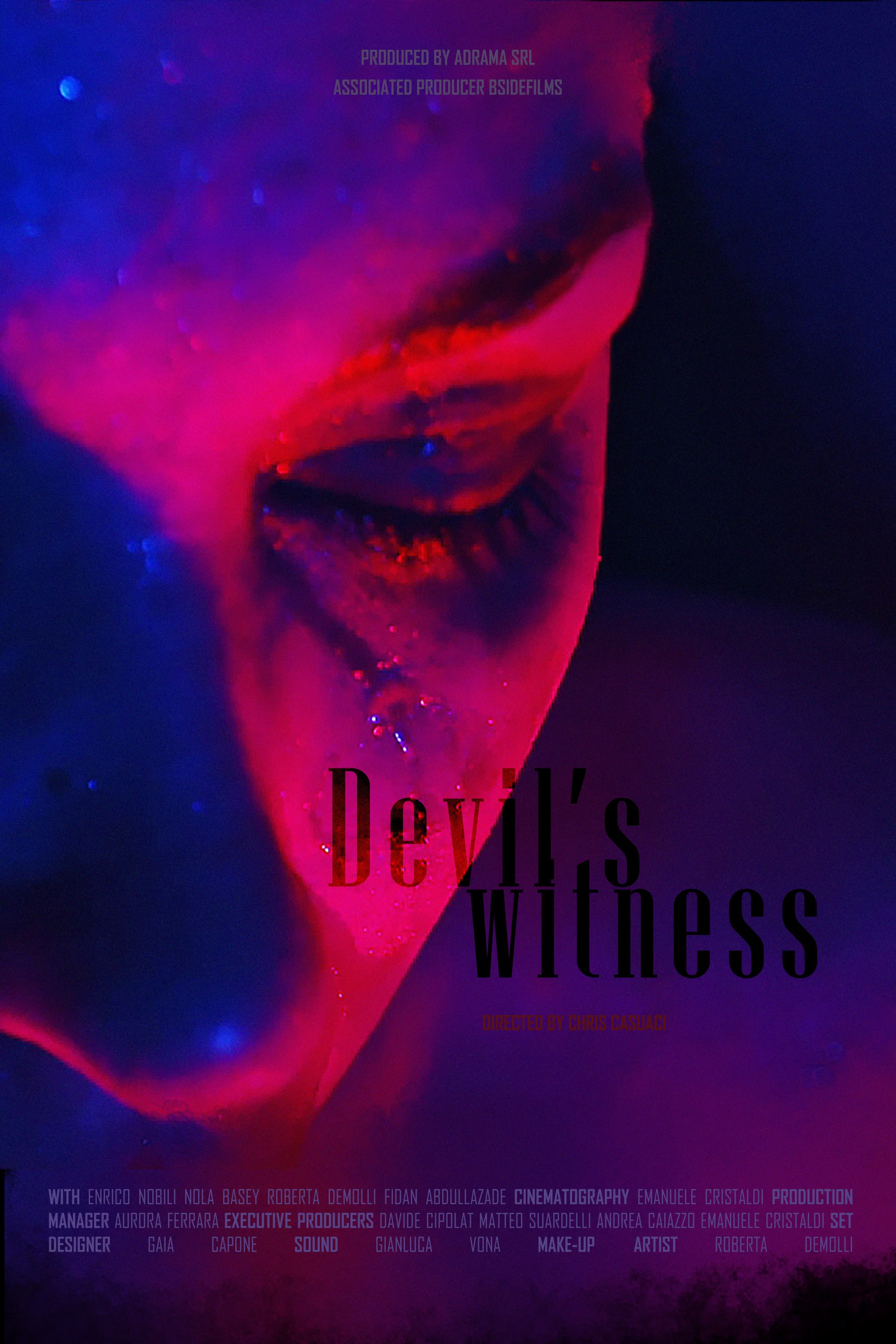 Cover of Devil's Witness