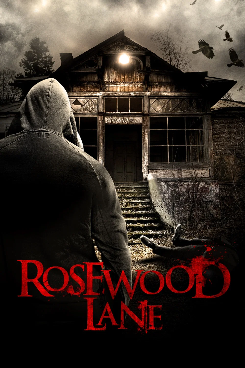 Cover of Rosewood Lane