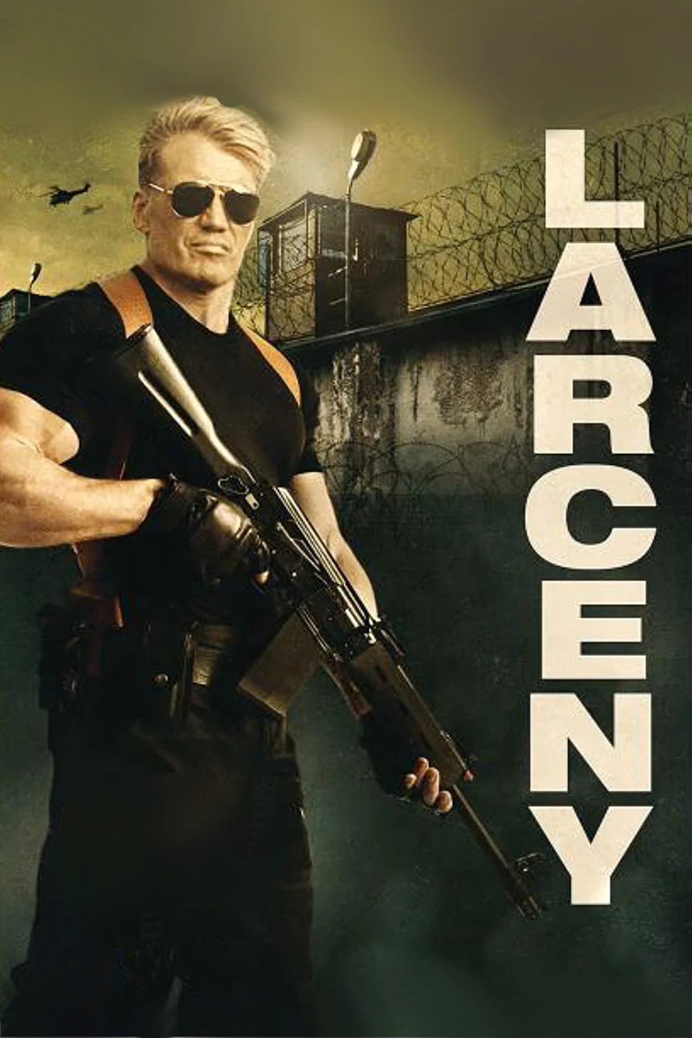 Cover of Larceny