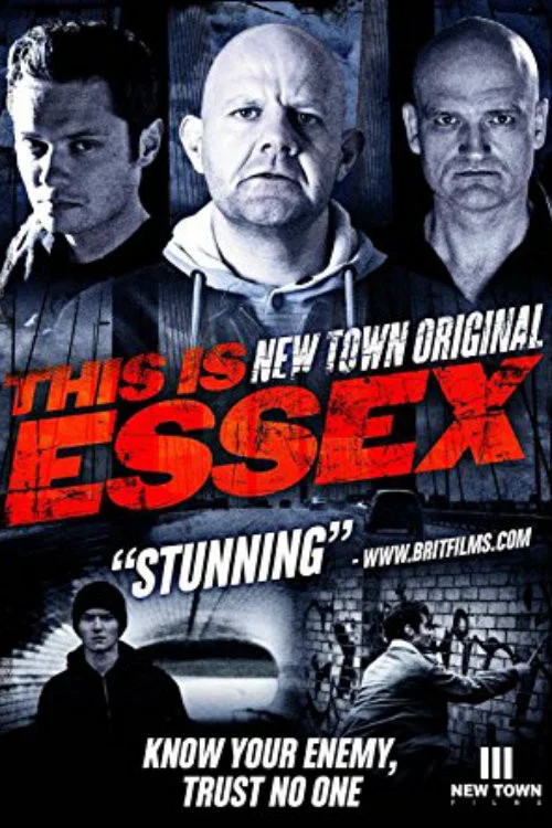 Cover of New Town Original