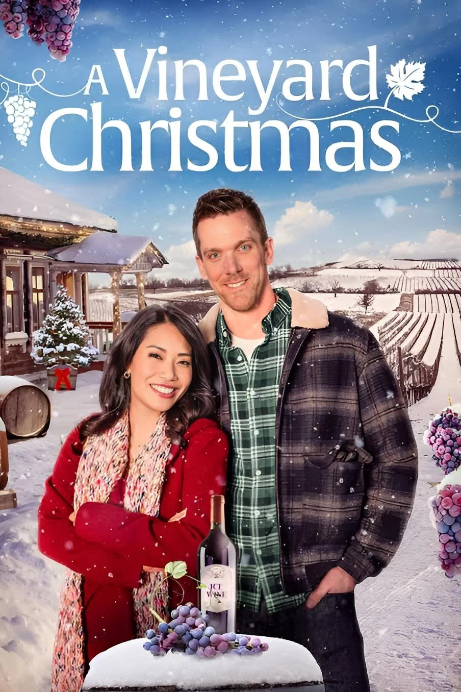 Cover of A Vineyard Christmas