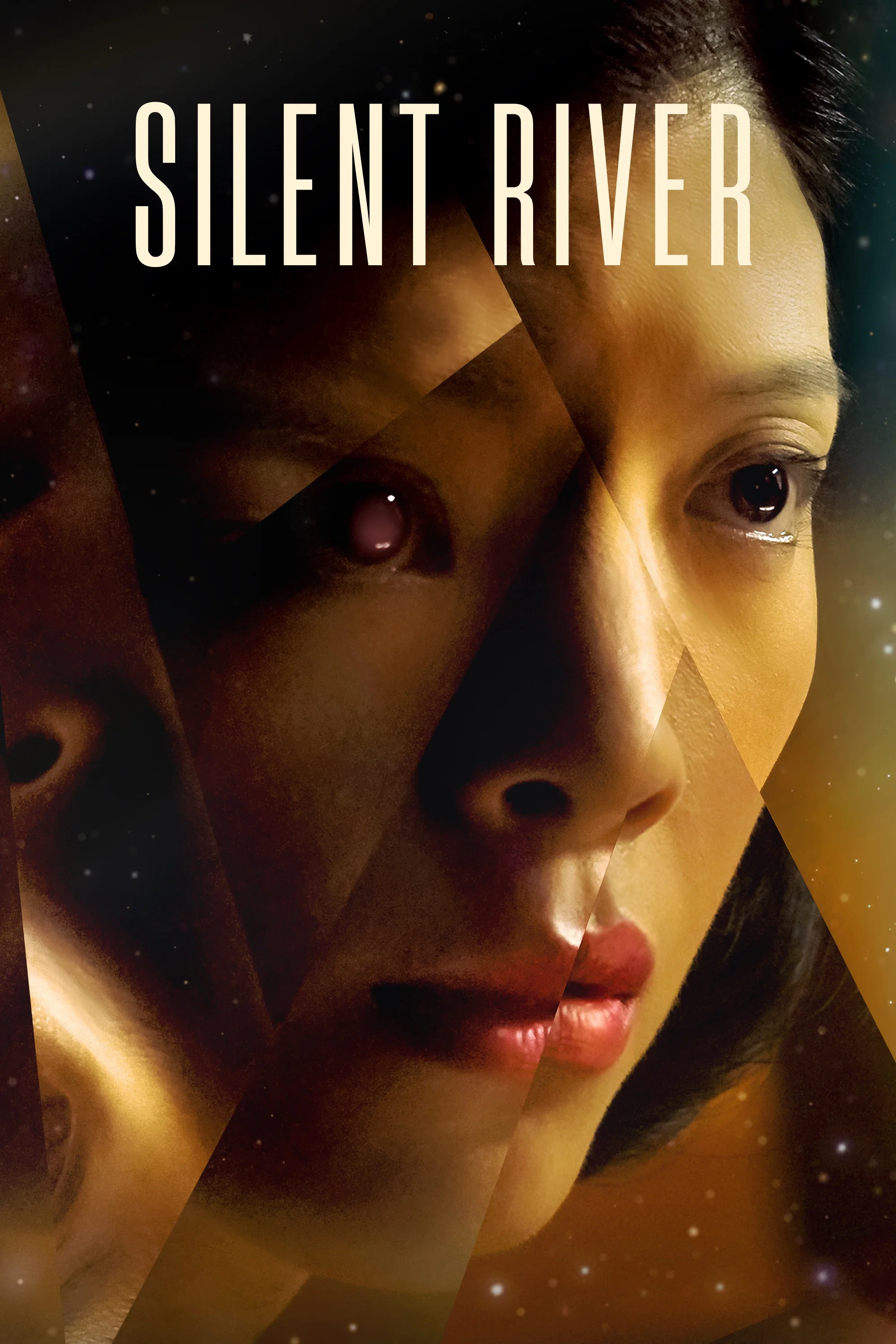 Cover of Silent River