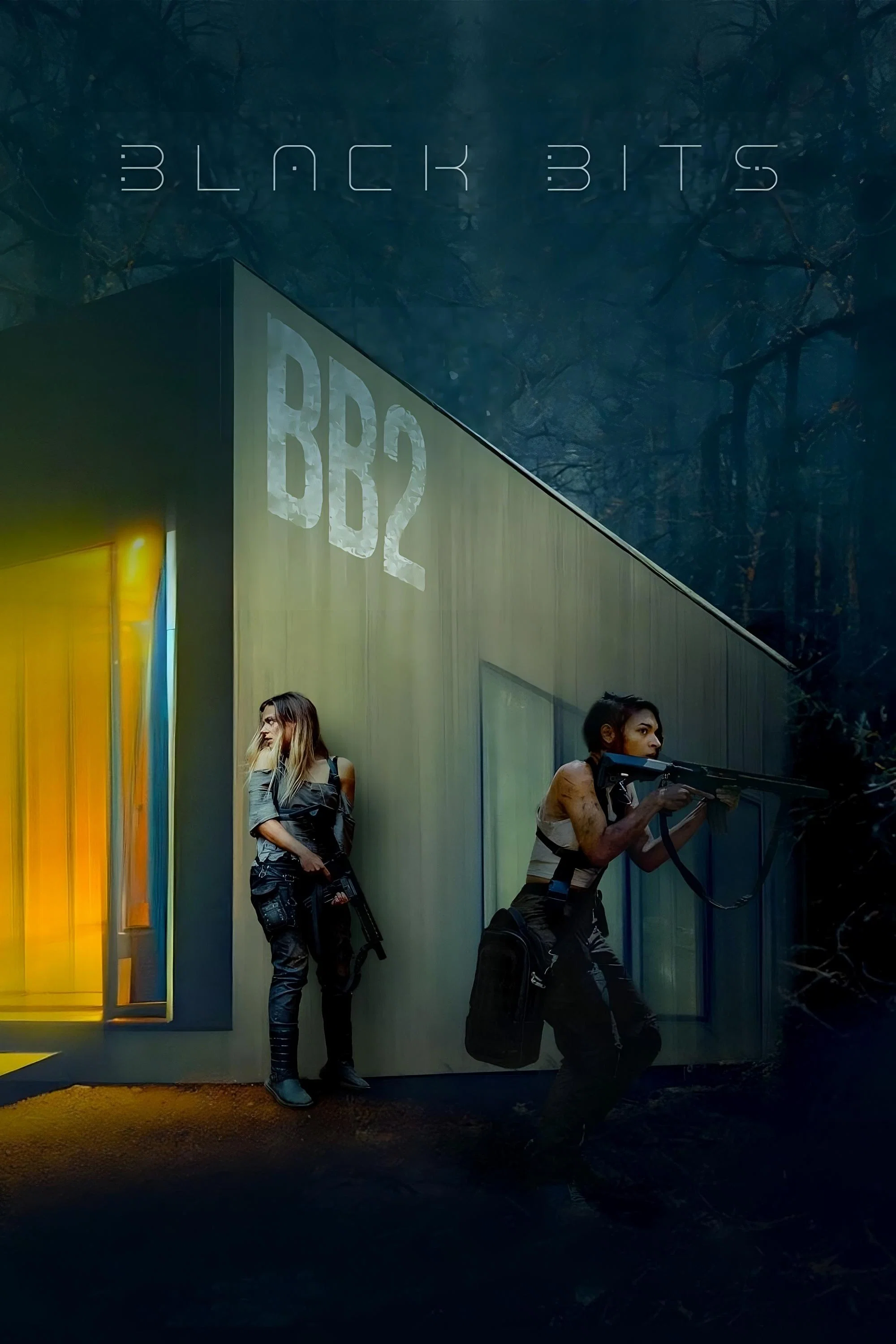 Cover of Black Bits
