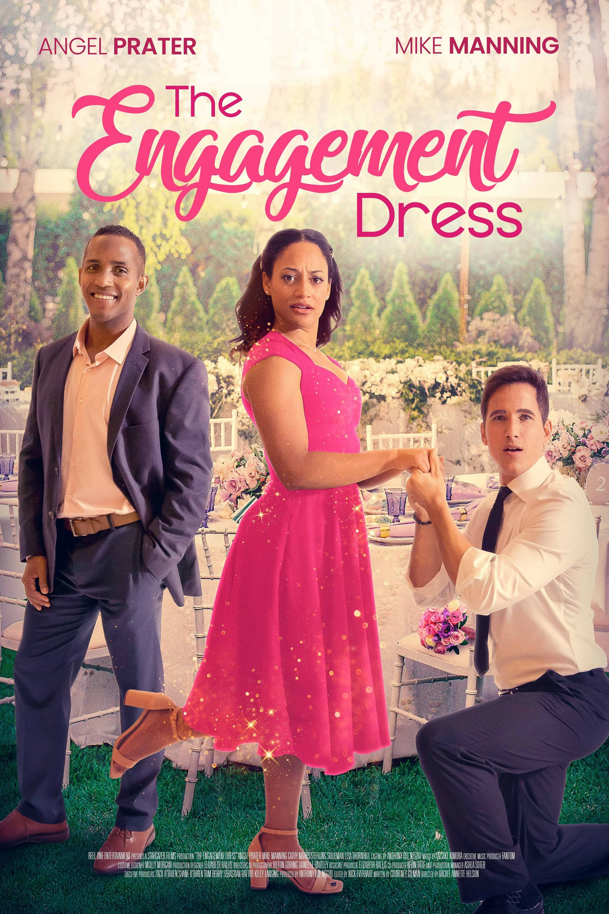 Cover of The Engagement Dress